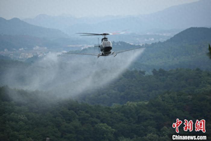 _广东发布总林长令：纵深推进松材线虫病疫情防控攻坚行动_广东发布总林长令：纵深推进松材线虫病疫情防控攻坚行动